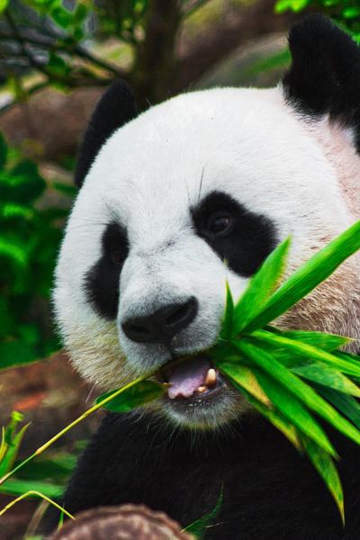 Landscape Photography